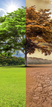  Climate Change